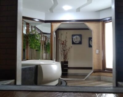 Blue Star Rio Hotel