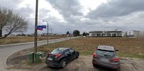 Wisła z psem